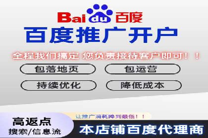 百度广告投放策略优化及成功案例解析